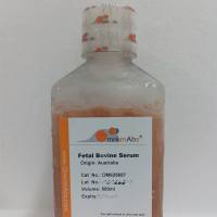 Omnimabs正常小鼠血清