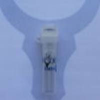 anti-mStrawberry Tag Mouse Polyclonal Antibody