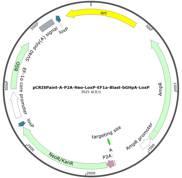 产品细节图片23