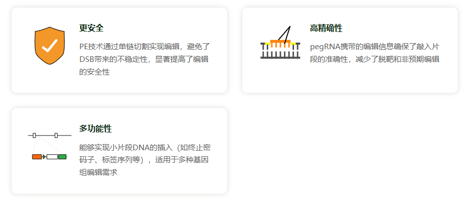 CRISPR/cas9基因敲入/插入细胞服务(荧光蛋白定点敲