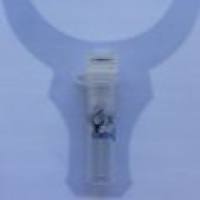 Anti-GST Tag Mouse Monoclonal Antibody（2M9）小鼠源GST单克隆标签抗体