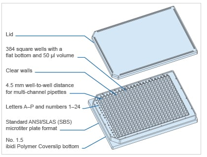 德国ibidi 384孔板/细胞培养板、高内涵筛选微孔板-8