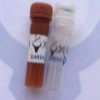 HRP, Rabbit Anti-Goat IgG(H+L) 辣根酶标记,兔抗山羊二抗