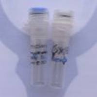 HRP, Goat Anti-Human IgG(H+L) 辣根酶标记,山羊抗人二抗