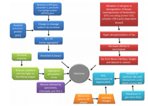 阿尔茨海默症：揭秘大脑的“橡皮擦”与科学家的破局之路