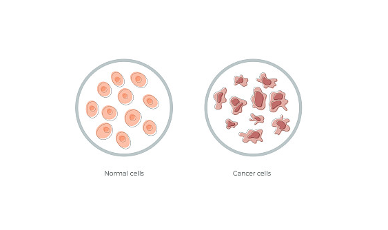 免疫细胞与干细胞在治疗机制上的差异