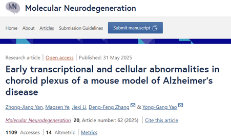从亚细胞到组织层面：TissueGnostics 发现脉络丛上皮细胞损伤激活 AD 巨噬细胞极化的新通路