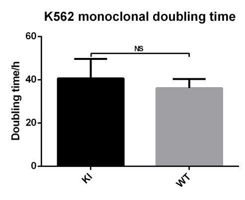 CRISPR/cas9基因敲入/插入细胞服务(荧光蛋白定点敲