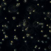 人急性T淋巴细胞白血病细胞Jurkat