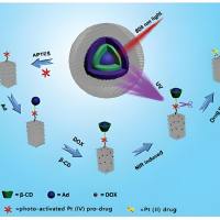 负载热休克蛋白抑制剂的四氧化三铁磁性纳米微球被抗CD20单克隆抗体修饰 HSPI@Fe3O4-anti-CD20 mAb