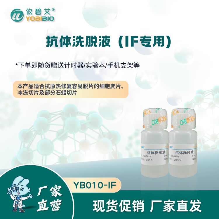 抗体洗脱液（IF专用）