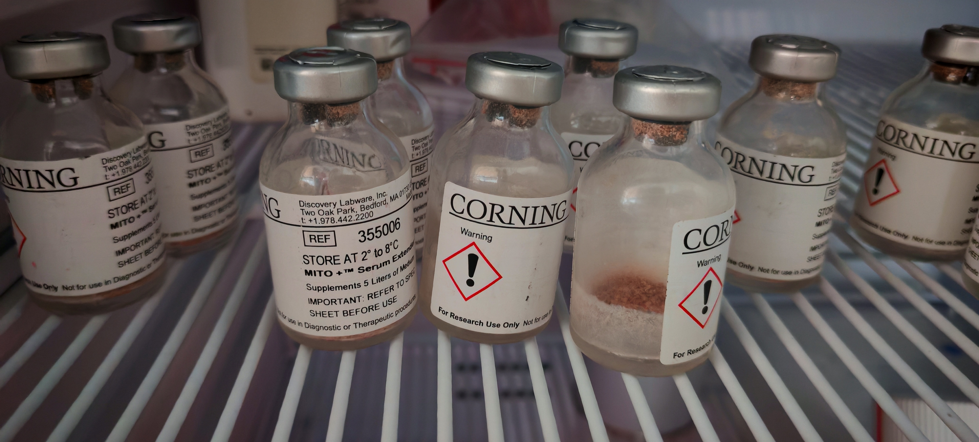 进口培养基、冻存液一站式供应，优惠多多