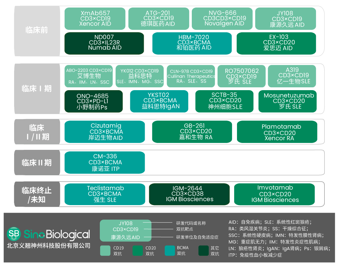 自免双抗时代来临！哪些靶点将改写自身免疫性疾病现状？
