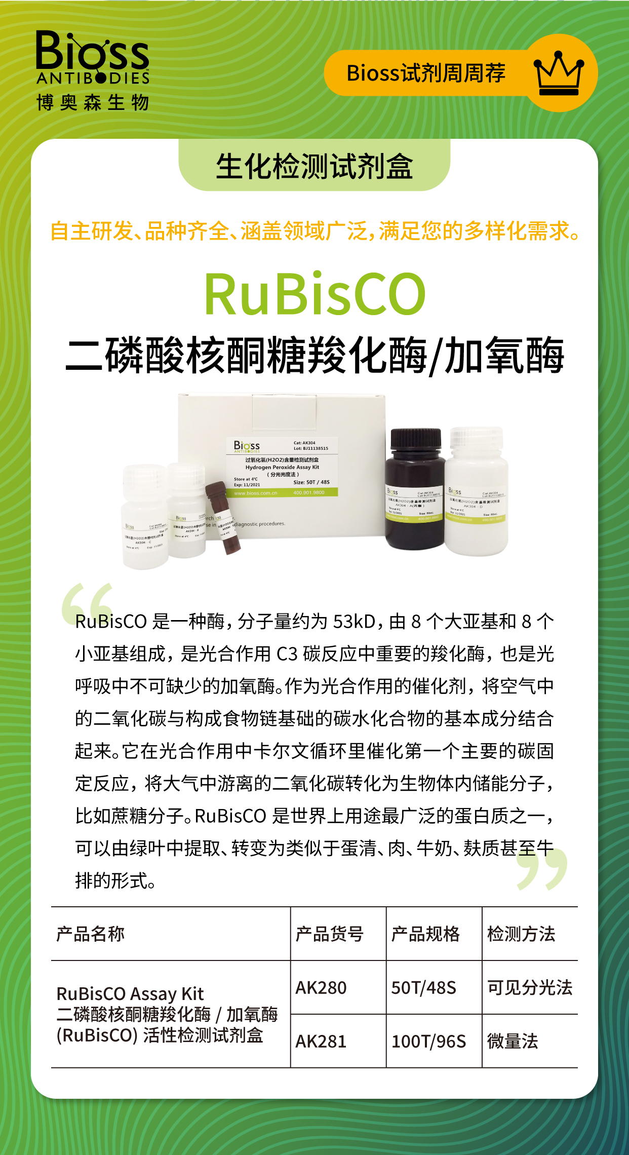 Bioss 试剂周周荐 | Rubisco检测试剂盒