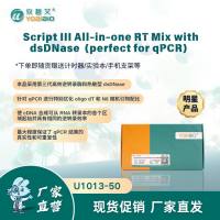 Script III All-in-one RT Mix with dsDNase（perfect for qPCR）