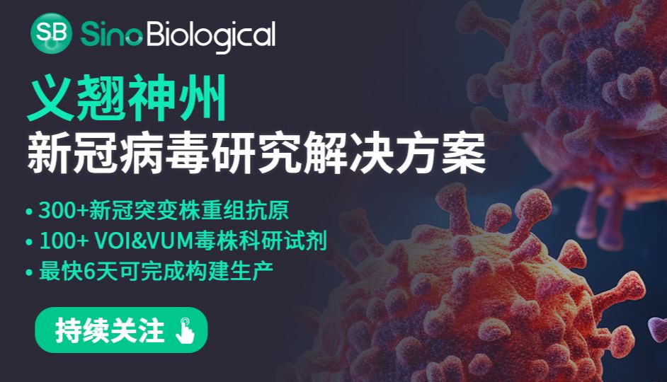 “新冠猎手”曹云龙一周两篇：持续深耕新冠病毒突变株与中和抗体发现