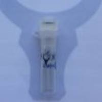 anti-AmCyan Tag Rabbit Polyclonal Antibody