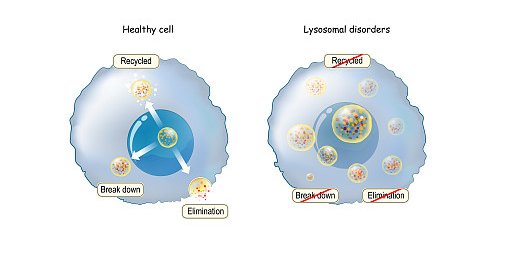 细胞储存的意义