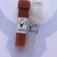 HRP, Goat Anti-Swine IgG(H+L) 辣根酶标记,山羊抗猪二抗