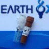 Dylight 549, Goat Anti-Rat IgG(H+L) Dylight549标记,山羊抗大鼠二抗