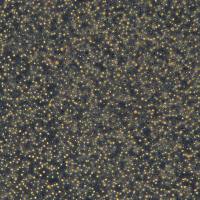 成人急性T淋巴细胞白血病