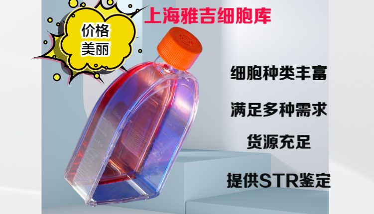 RIN-14B大鼠胰岛素瘤细胞培养说明书