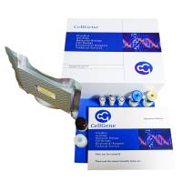 蛋白A(Protein A)酶联免疫吸附检测试剂盒