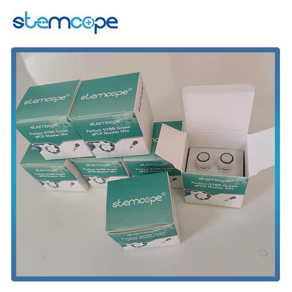 Stemcope 燃料法qPCR预混液 STP001-2 5ml Perfect SYBR Green qPCR Master Mix 