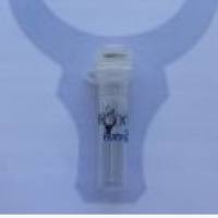 anti-Amyloid β A4 (Ab-743/668)Rabbit Polyclonal Antibody