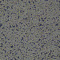 示踪小鼠肝癌细胞 H22（Luc2）