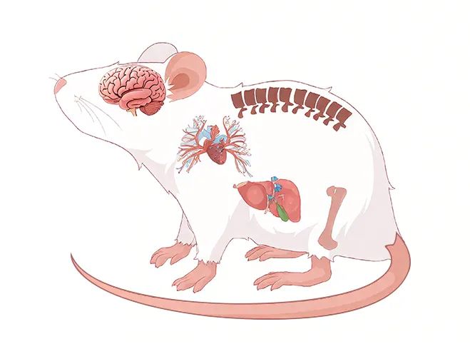 新品上市 | 原代细胞提取不再难！普诺赛®原代细胞提取试剂盒重磅来袭