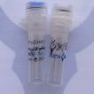 TRITC, Goat Anti-Mouse IgG(H+L) 罗丹明标记,山羊抗小鼠二抗