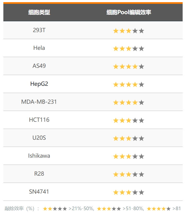 先导编辑（PE）基因点突变细胞稳转株构建服务（支持原代/难转
