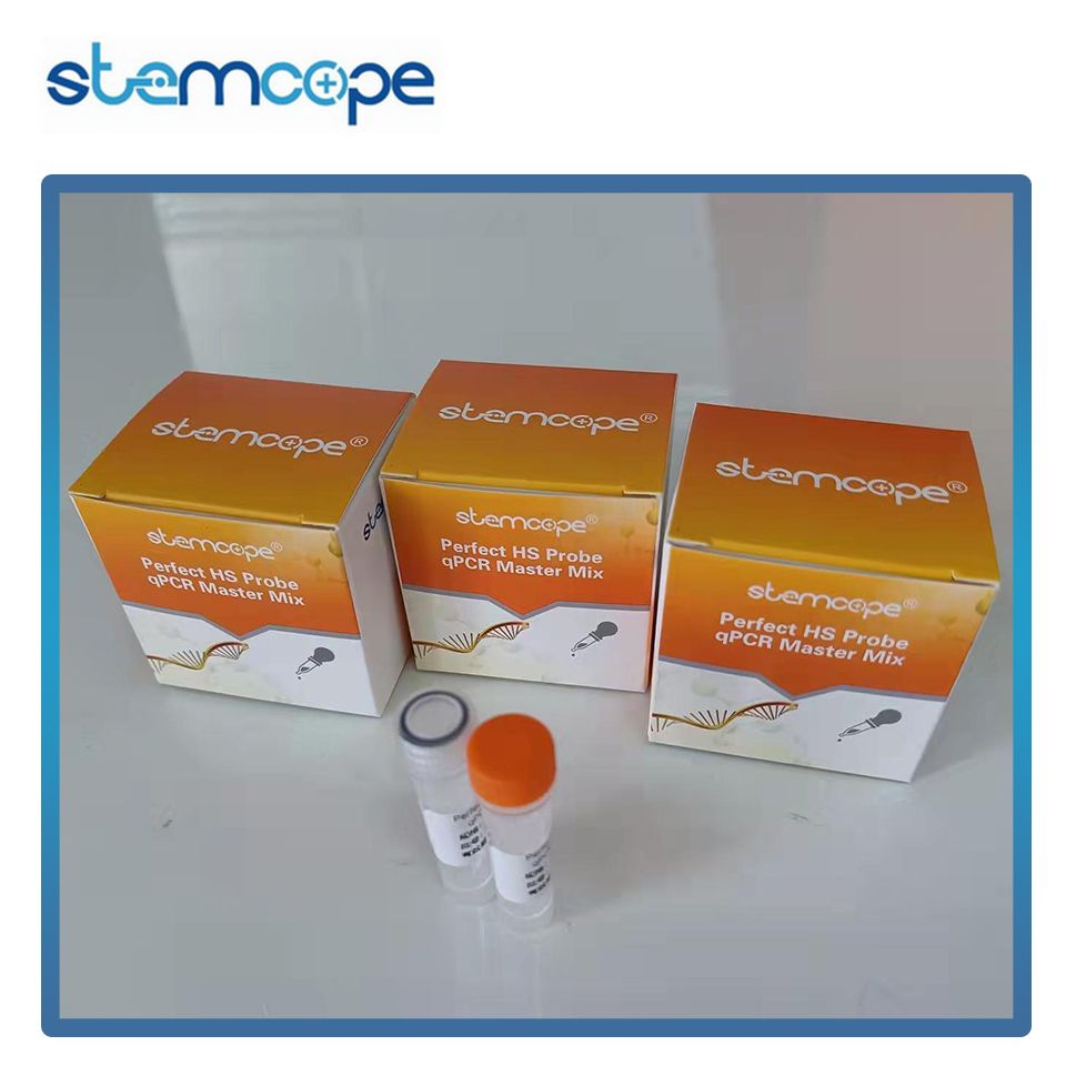 stemcope 探针qPCR预混液 5ml STP004-2 Perfect HS Probe qPCR Master