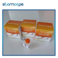 stemcope 探针qPCR预混液 5ml STP004-2 Perfect HS Probe