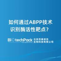 如何通过ABPP技术识别酶活性靶点?