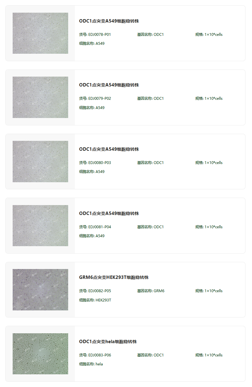 先导编辑（PE）基因点突变细胞稳转株构建服务（支持原代/难转