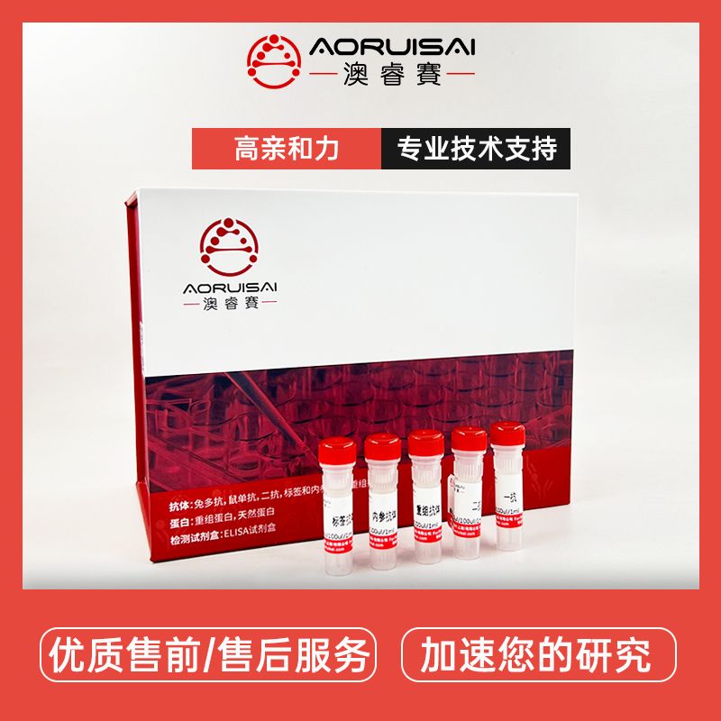 Mouse Monoclonal Antibody TUBB1