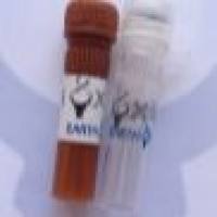 Dylight405,Goat Anti-Rabbit IgG(H+L) Dylight405标记,山羊抗兔二抗