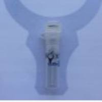 anti-HSP90B (Ab-254)Rabbit Polyclonal Antibody