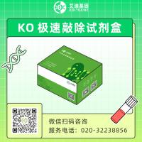 Flash极速敲除试剂盒