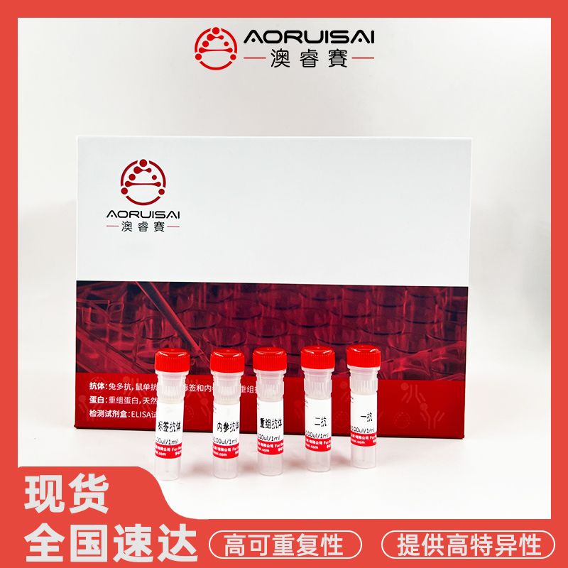 Mouse Recombinant Mouse Monoclonal Antibody Flag Tag