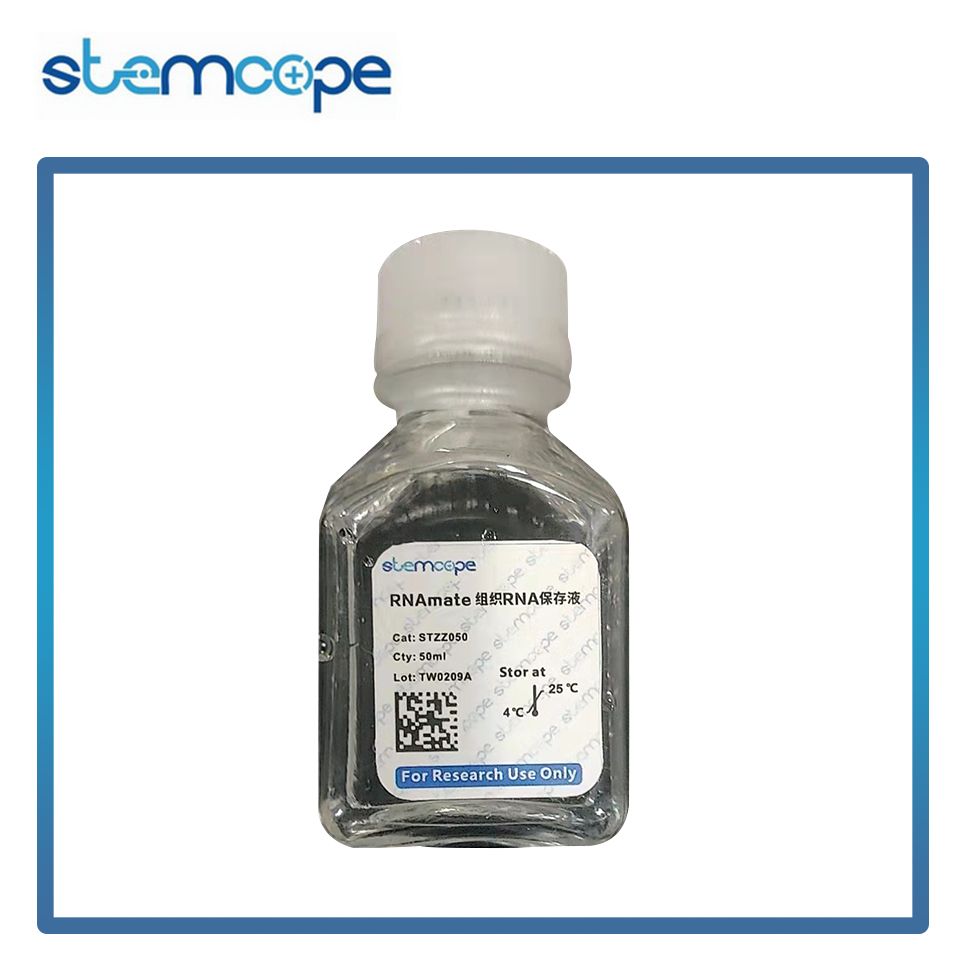 Stemcope STZZ100 RNAmate组织RNA保存液 100ml RNAmate RNA preservation solution