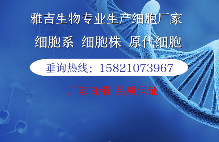 大鼠Wistar肉瘤细胞XC培养说明书