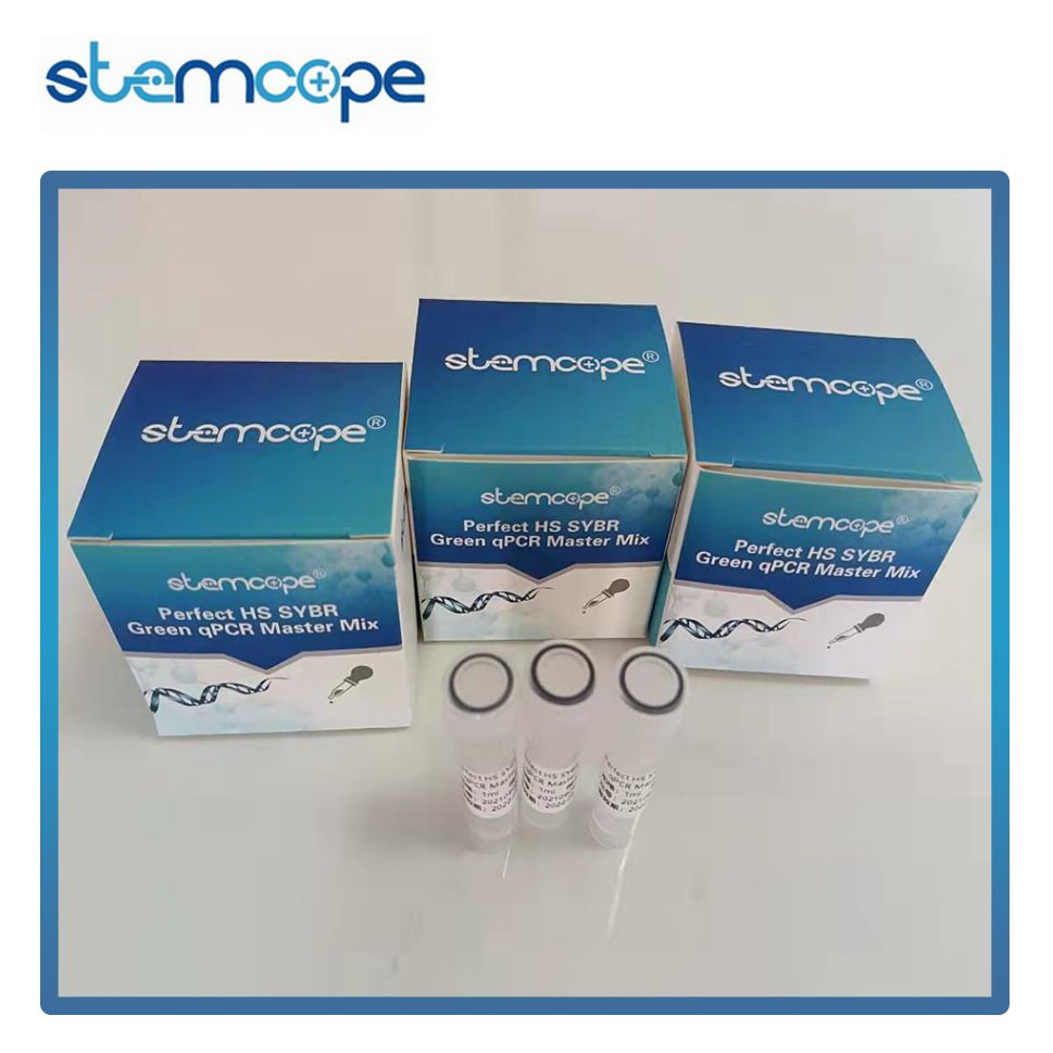 Stemcope Perfect HS SYBR Green qPCR Master Mix STP002-2 qPCR 预混液 5 mL