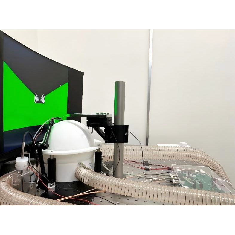 啮齿类动物 VR 系统