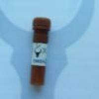 FITC, Rabbit Anti-Goat IgG(H+L) 异硫氰酸荧光素标记,兔抗山羊二抗