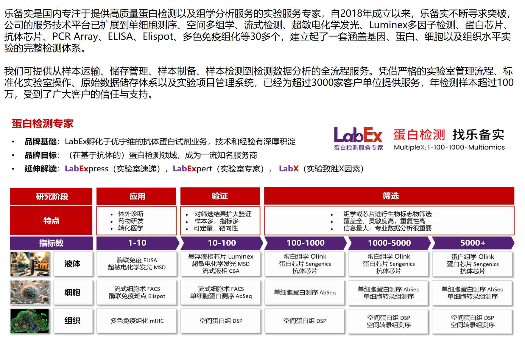 血清 Th17 多因子 panel 检测实验外包服务