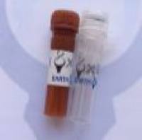 TRITC, Rabbit Anti-Goat IgG(H+L) 罗丹明标记,兔抗山羊二抗