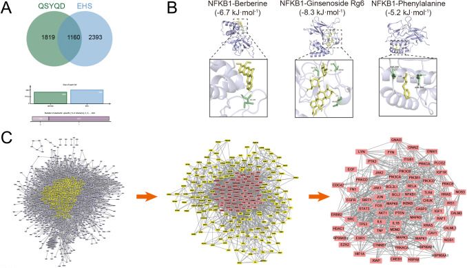 IF6.7,网络药理学+肠道菌群多样性，解析中药防暑机制！